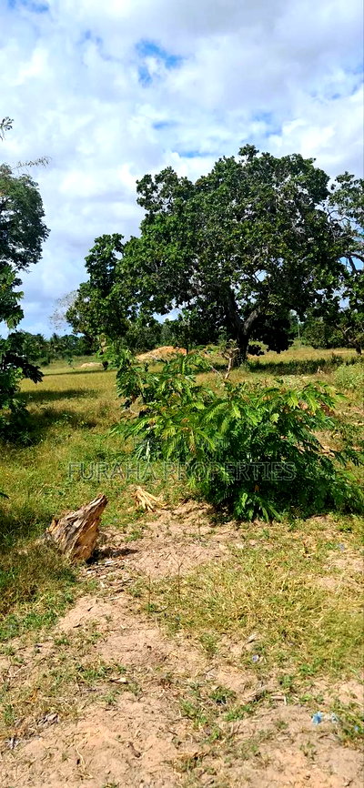 For Sale 1.1acre Land Dongo Kundu Bypass - Image 3
