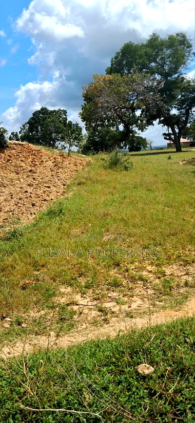 For Sale 1.1acre Land Dongo Kundu Bypass - Image 2