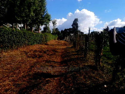 50x100 Ft Plot for Sale in Kabete Kiambu County - Image 4