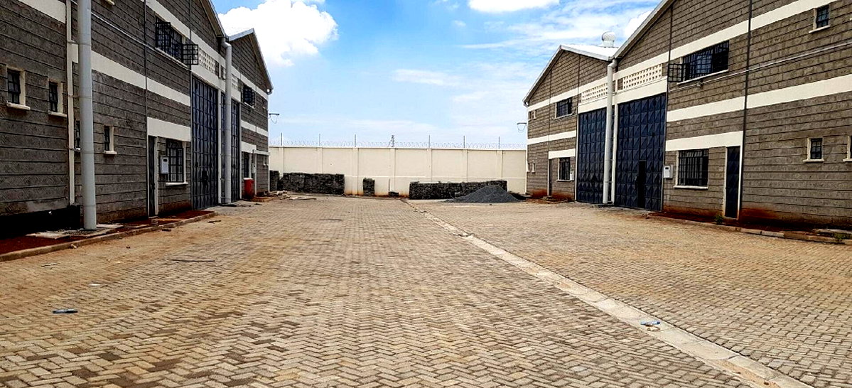 Quarter Acre Godown with Garden