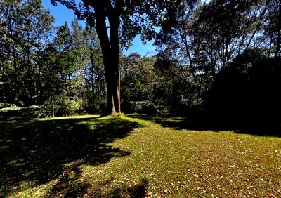 2.7-Acre Karen Gem at KSh 270M