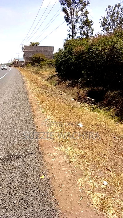 100x100ft Plot for Sale at Kenol Touching Kenol Marua Highwa - Image 5