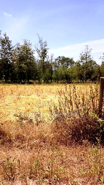 100x100ft Plot for Sale at Kenol Touching Kenol Marua Highwa - Image 4