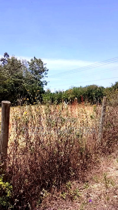 100x100ft Plot for Sale at Kenol Touching Kenol Marua Highwa - Image 1