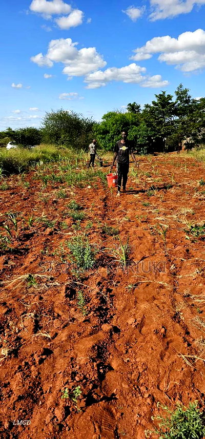 Matuu (Kithyoko) Prime Plots For Sale - Image 1