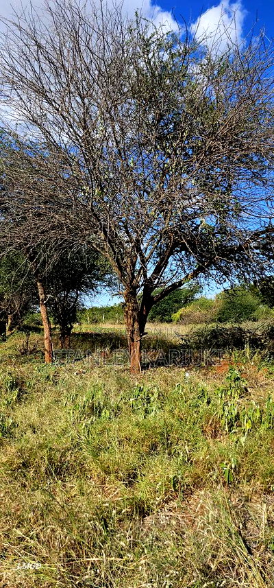 Matuu (Kithyoko) Prime Plots For Sale - Image 3