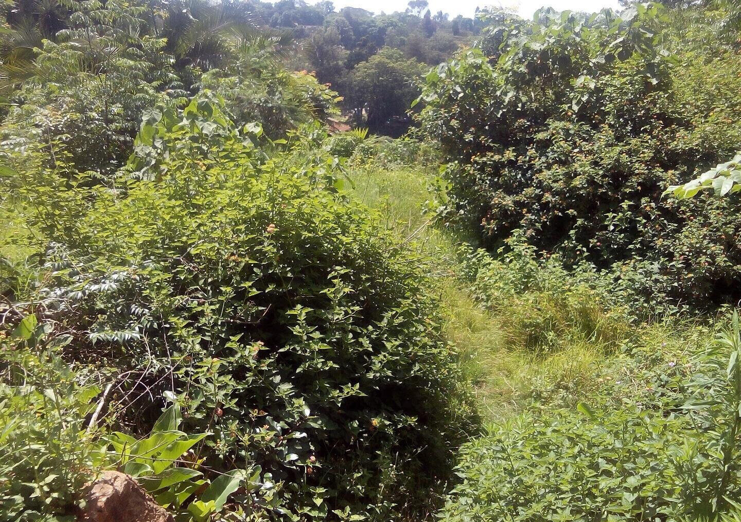 3/4 Acre Lavington Land at KSh 200M