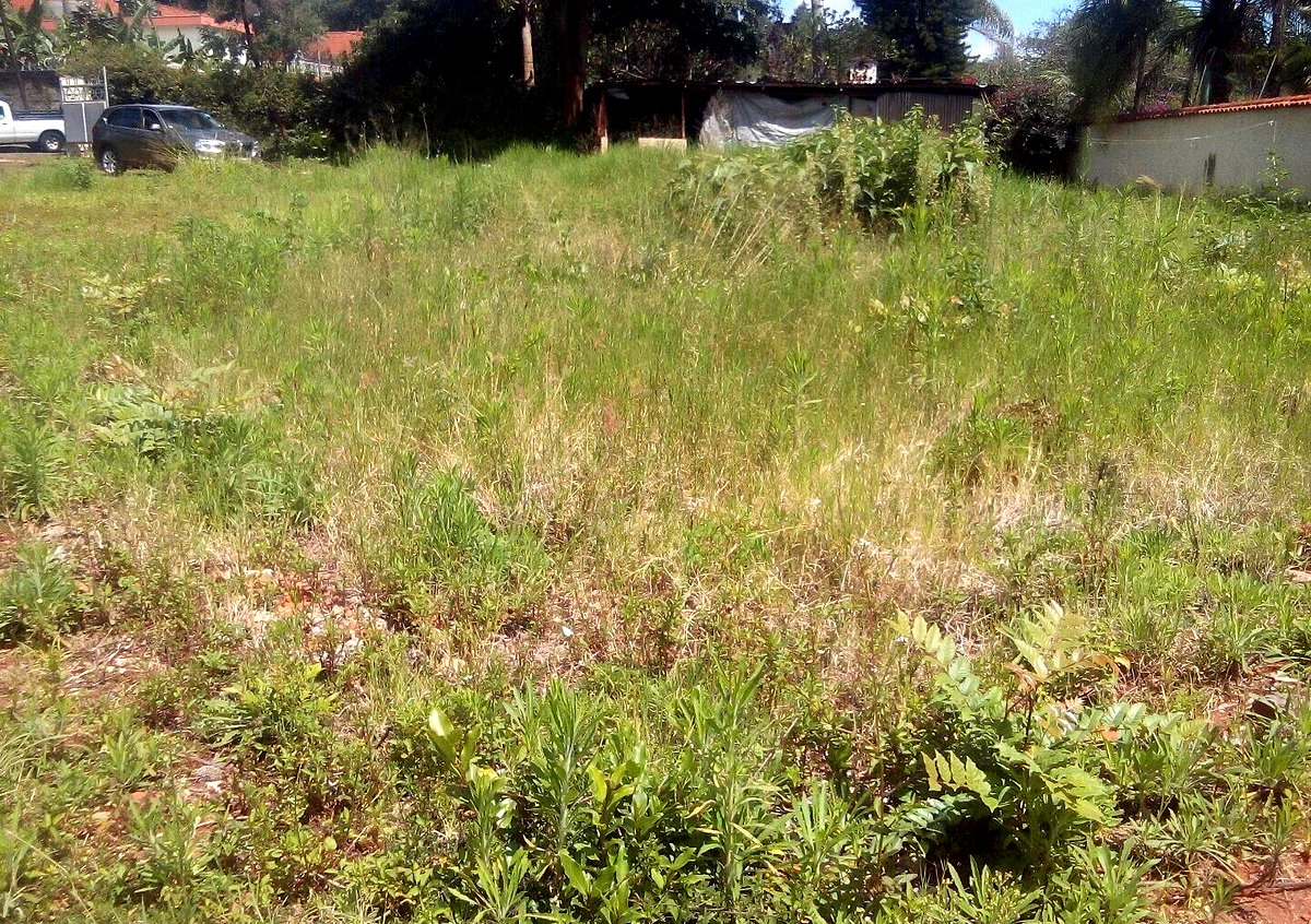3/4 Acre Lavington Land at KSh 200M