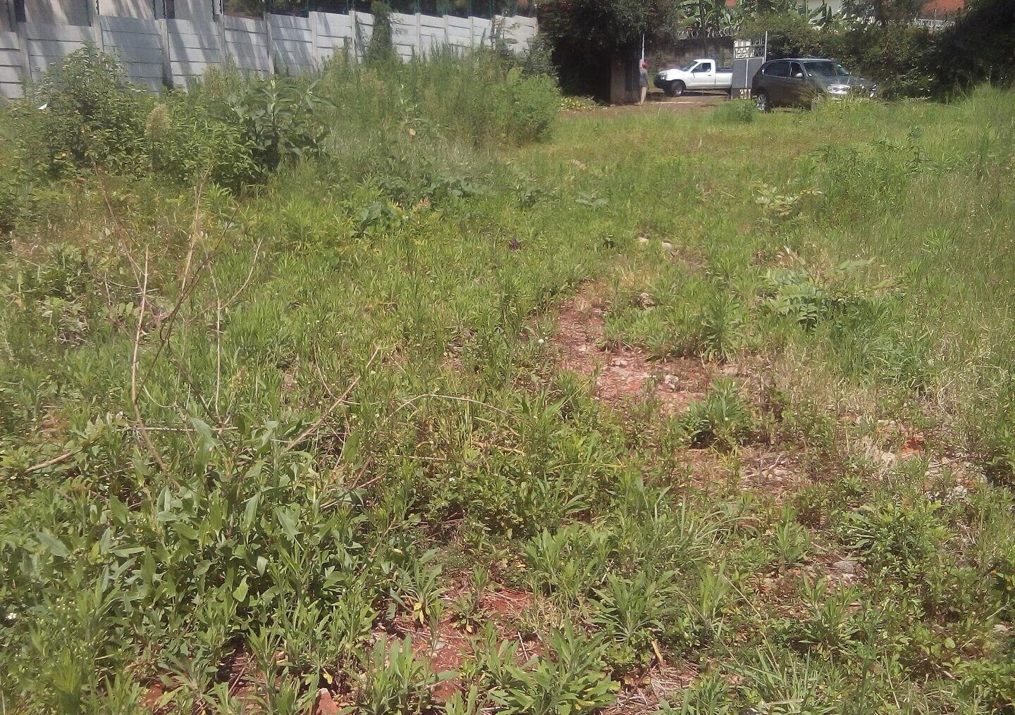 3/4 Acre Lavington Land at KSh 200M