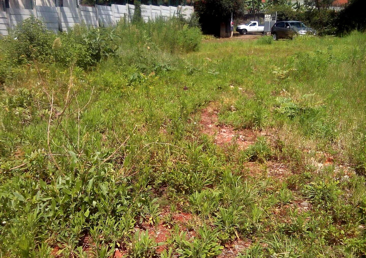3/4 Acre Lavington Land at KSh 200M