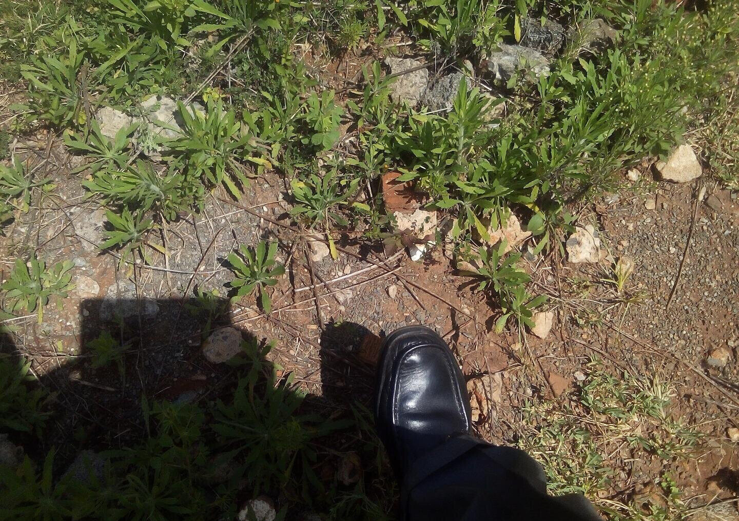 3/4 Acre Lavington Land at KSh 200M