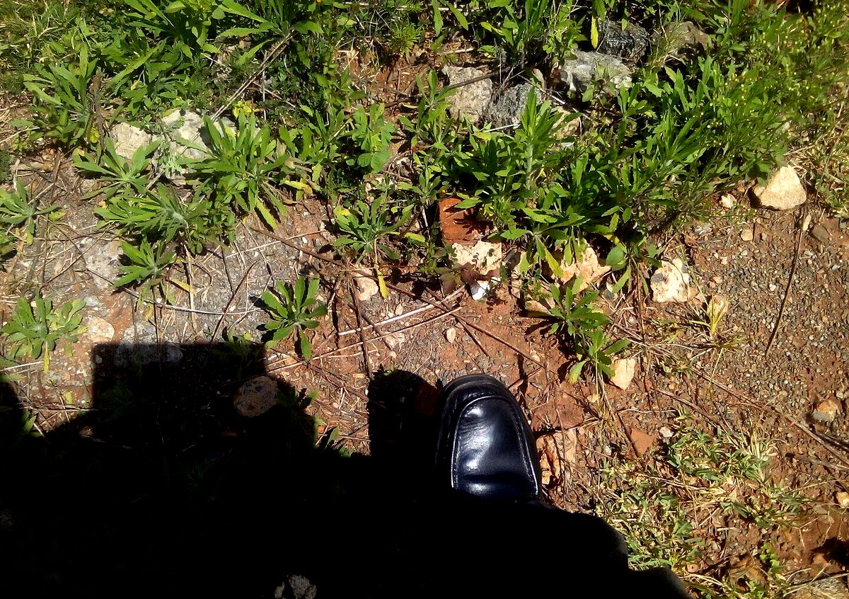 3/4 Acre Lavington Land at KSh 200M