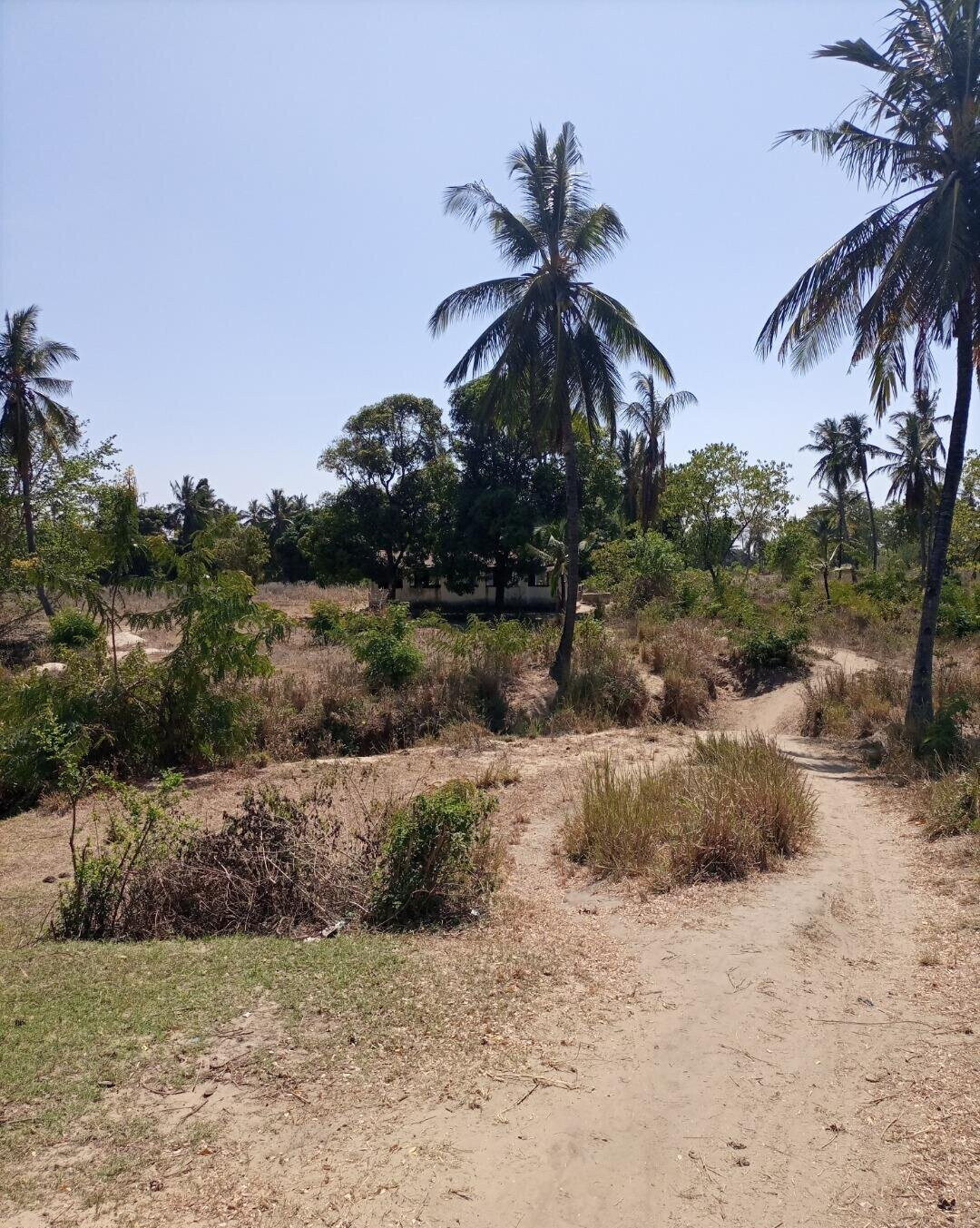 4-Acre Plot for KSh 5M