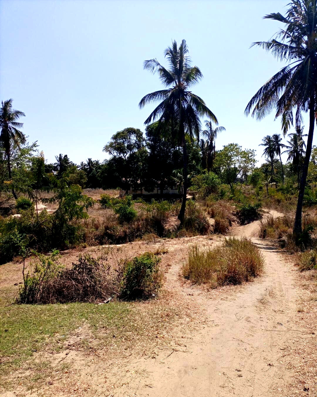 4-Acre Plot for KSh 5M