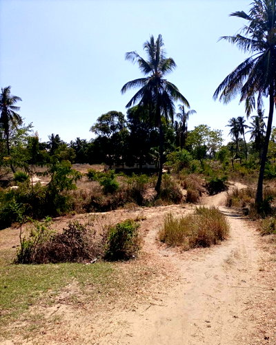 4-Acre Plot for KSh 5M