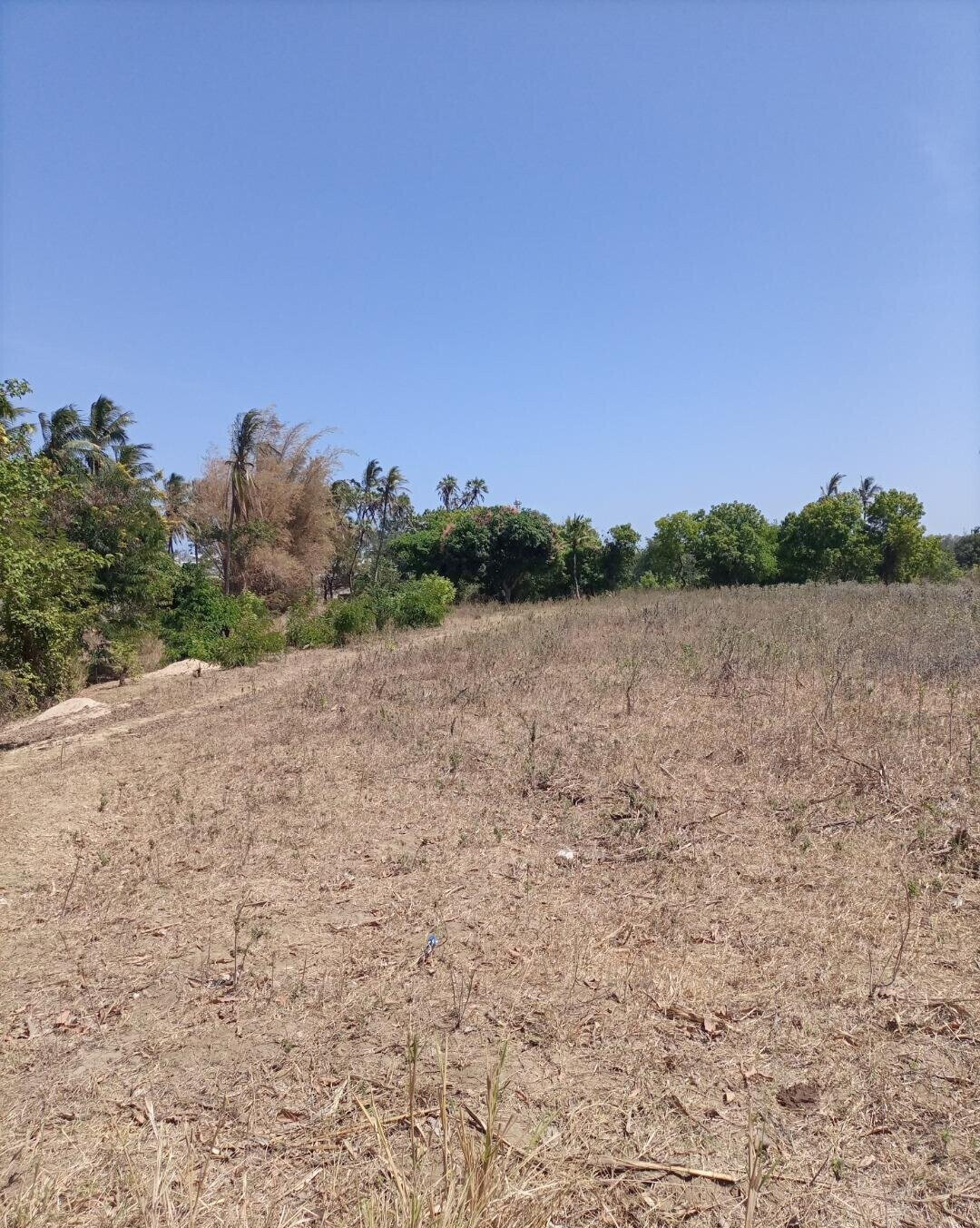 4-Acre Plot for KSh 5M
