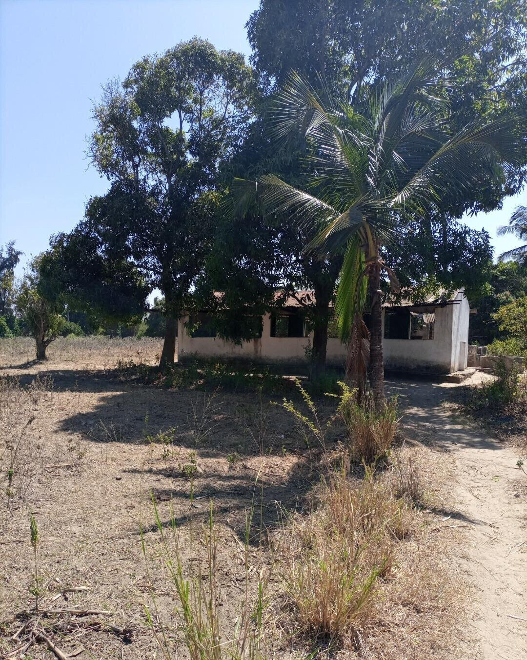 4-Acre Plot for KSh 5M
