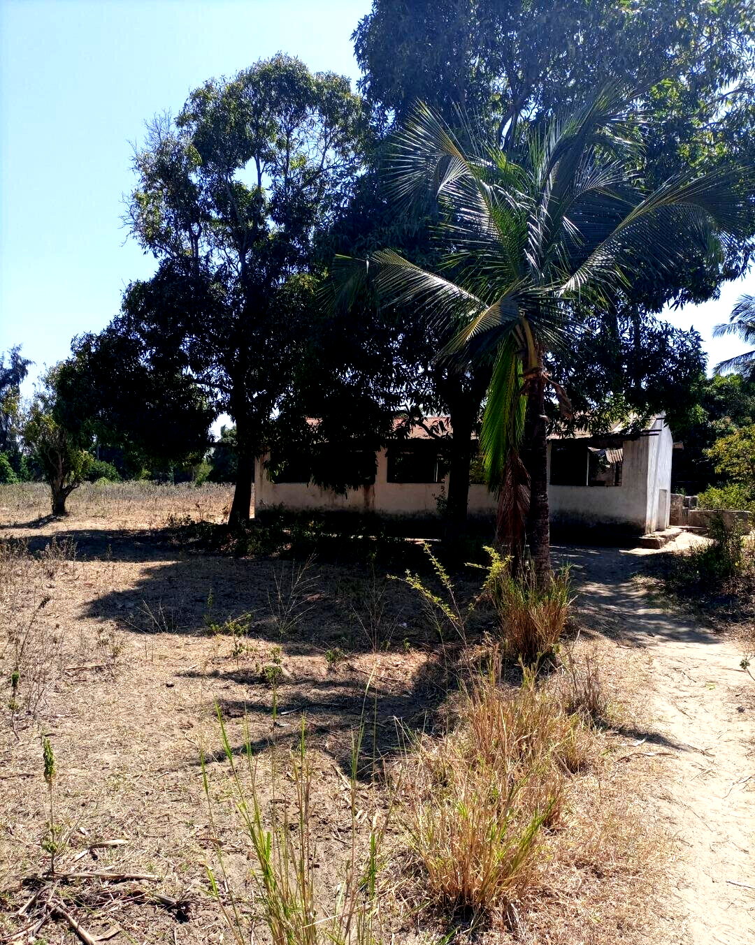 4-Acre Plot for KSh 5M