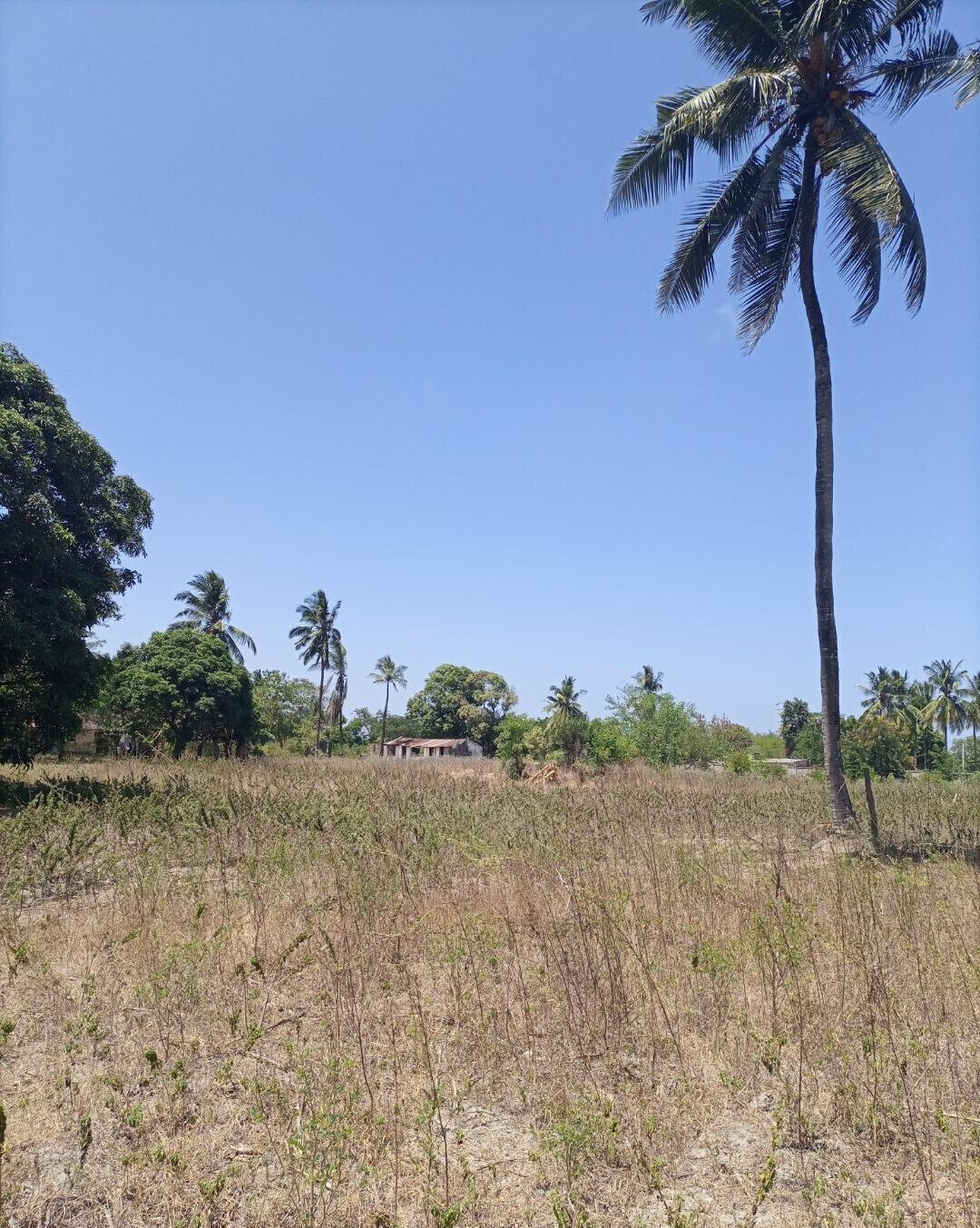 4-Acre Plot for KSh 5M