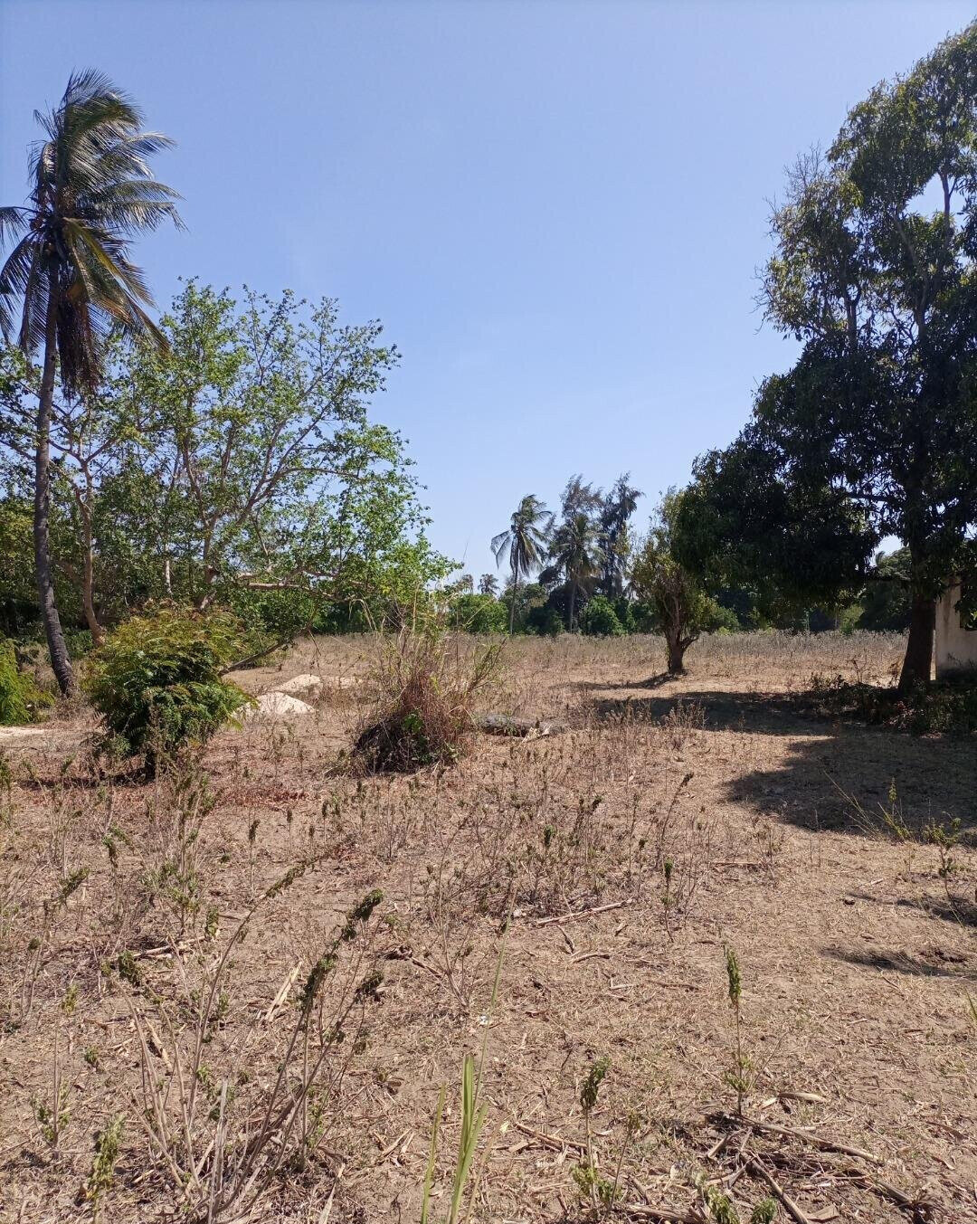 4-Acre Plot for KSh 5M