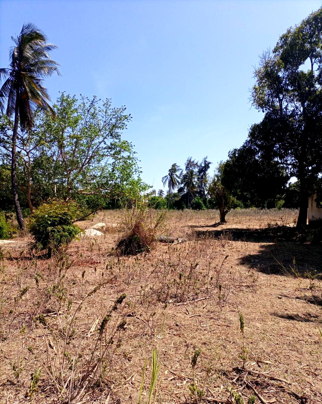 4-Acre Plot for KSh 5M