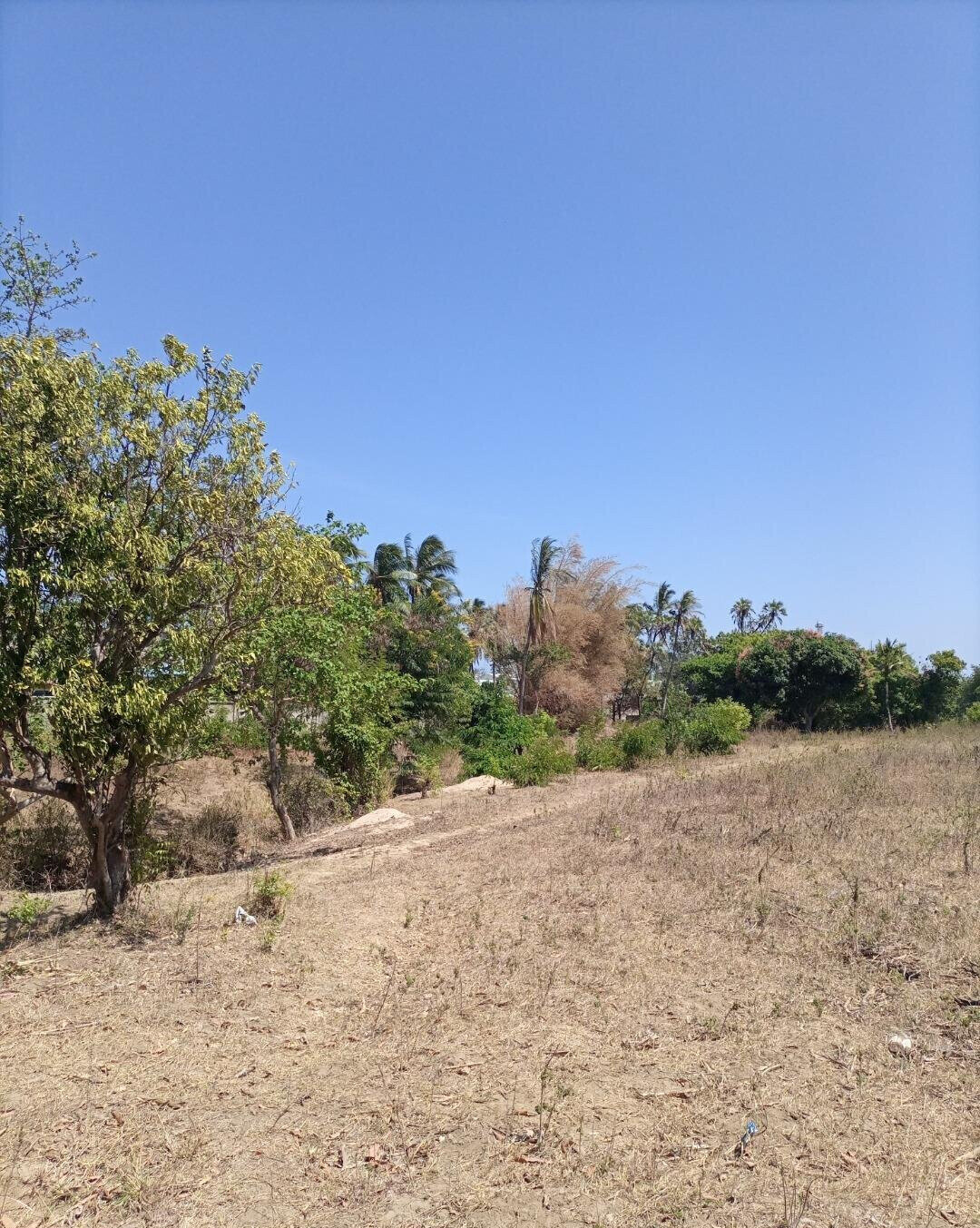 4-Acre Plot for KSh 5M