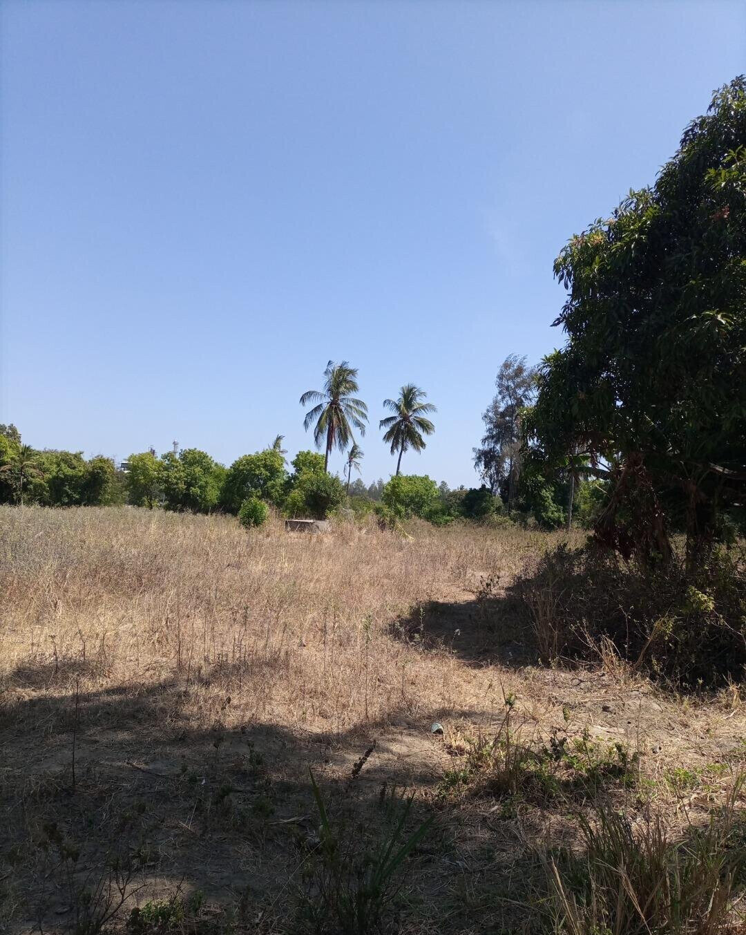 4-Acre Plot for KSh 5M