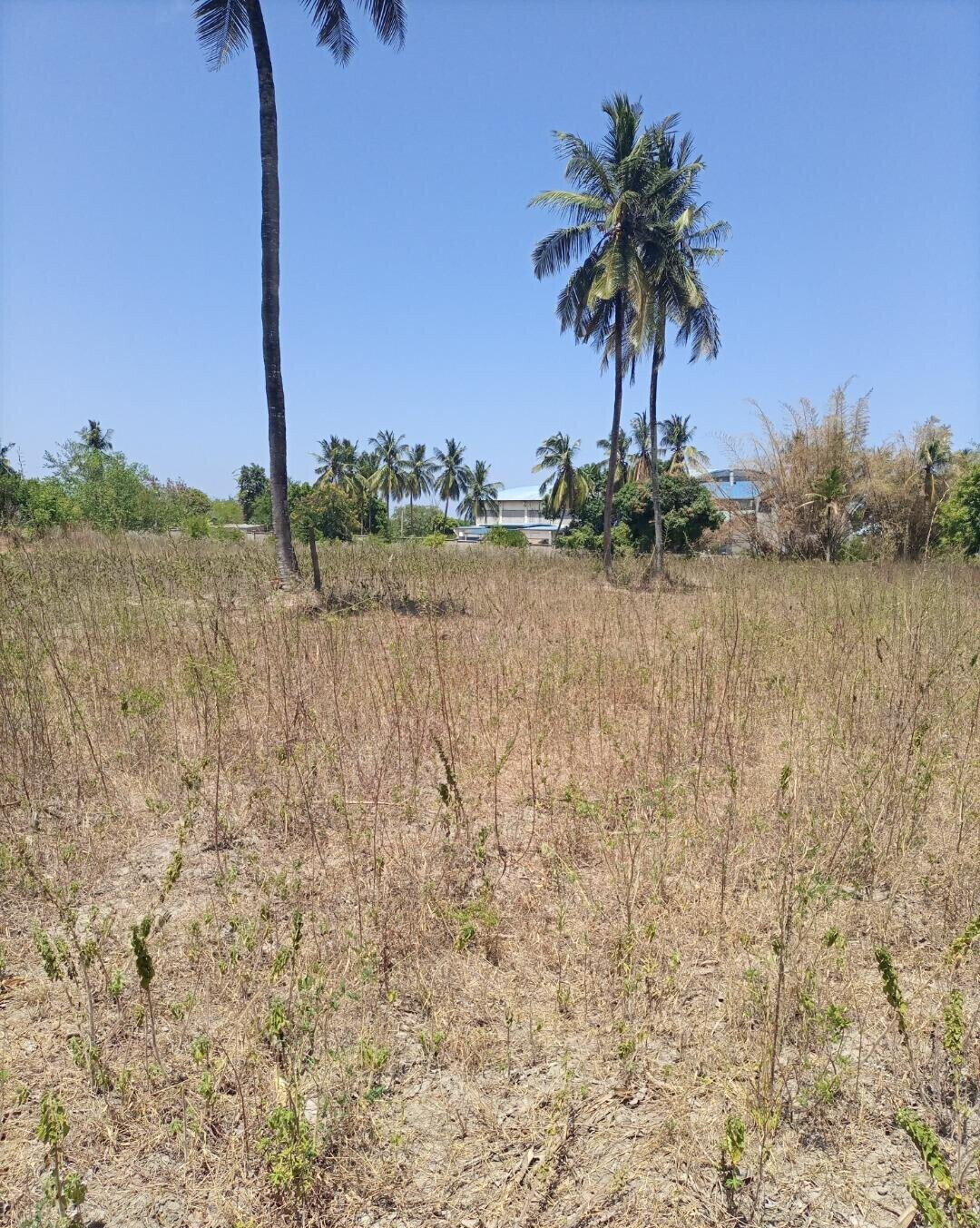 4-Acre Plot for KSh 5M