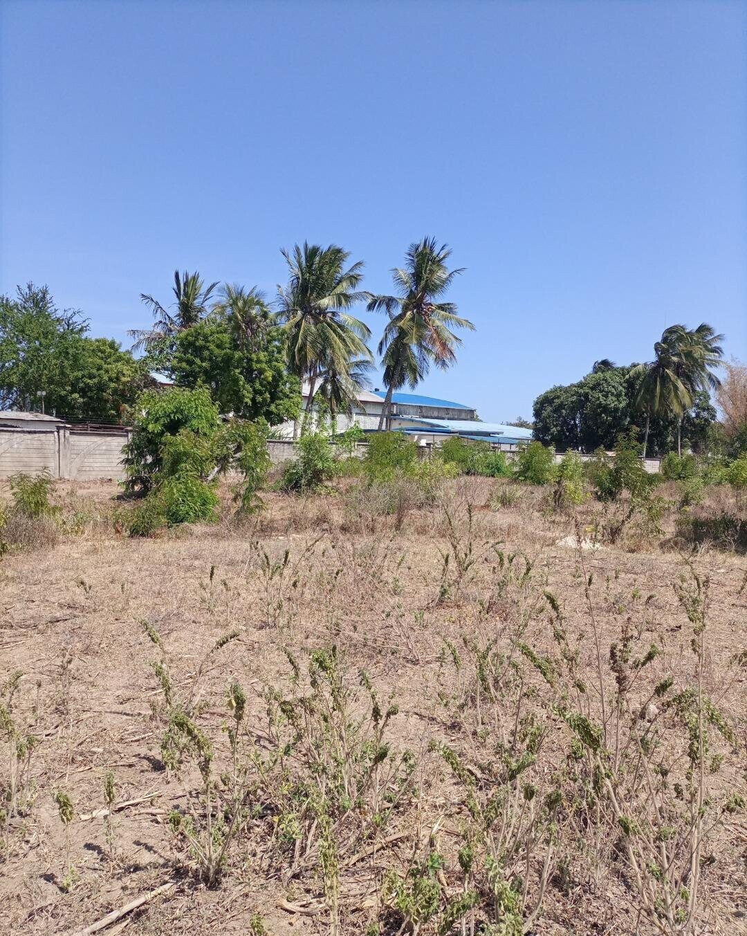 4-Acre Plot for KSh 5M