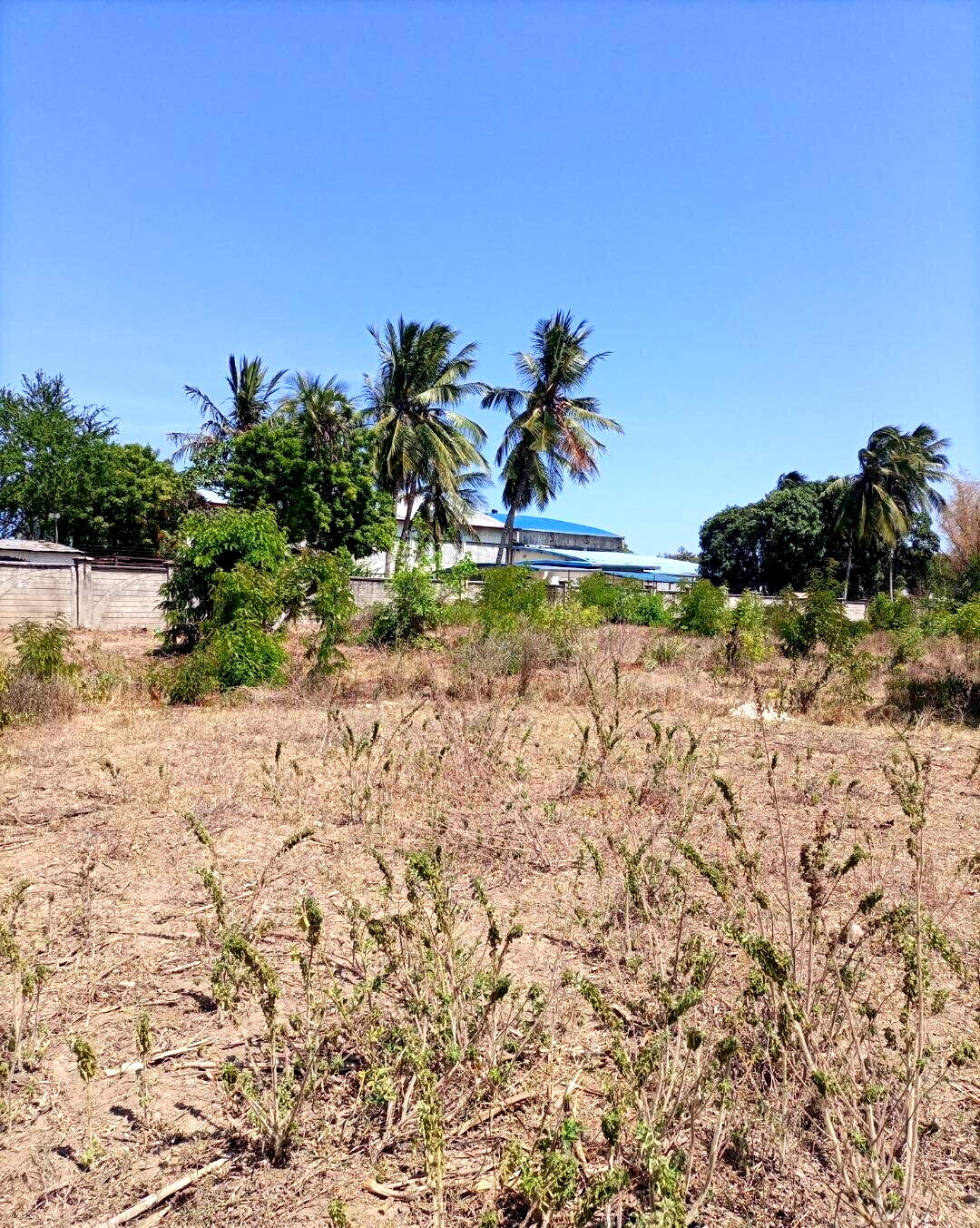 4-Acre Plot for KSh 5M