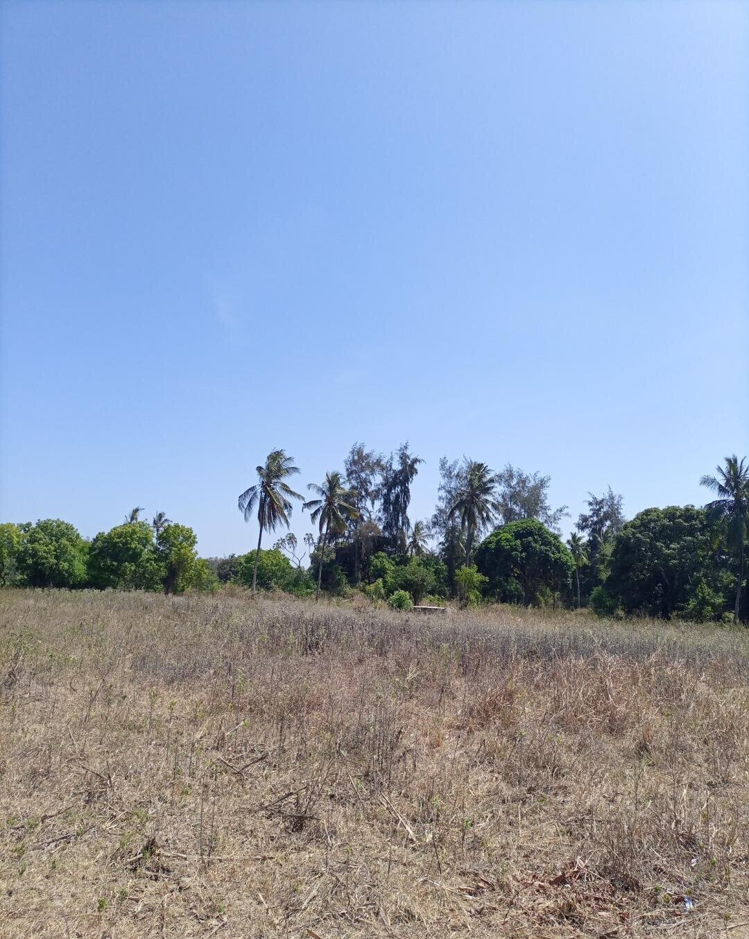 4-Acre Plot for KSh 5M