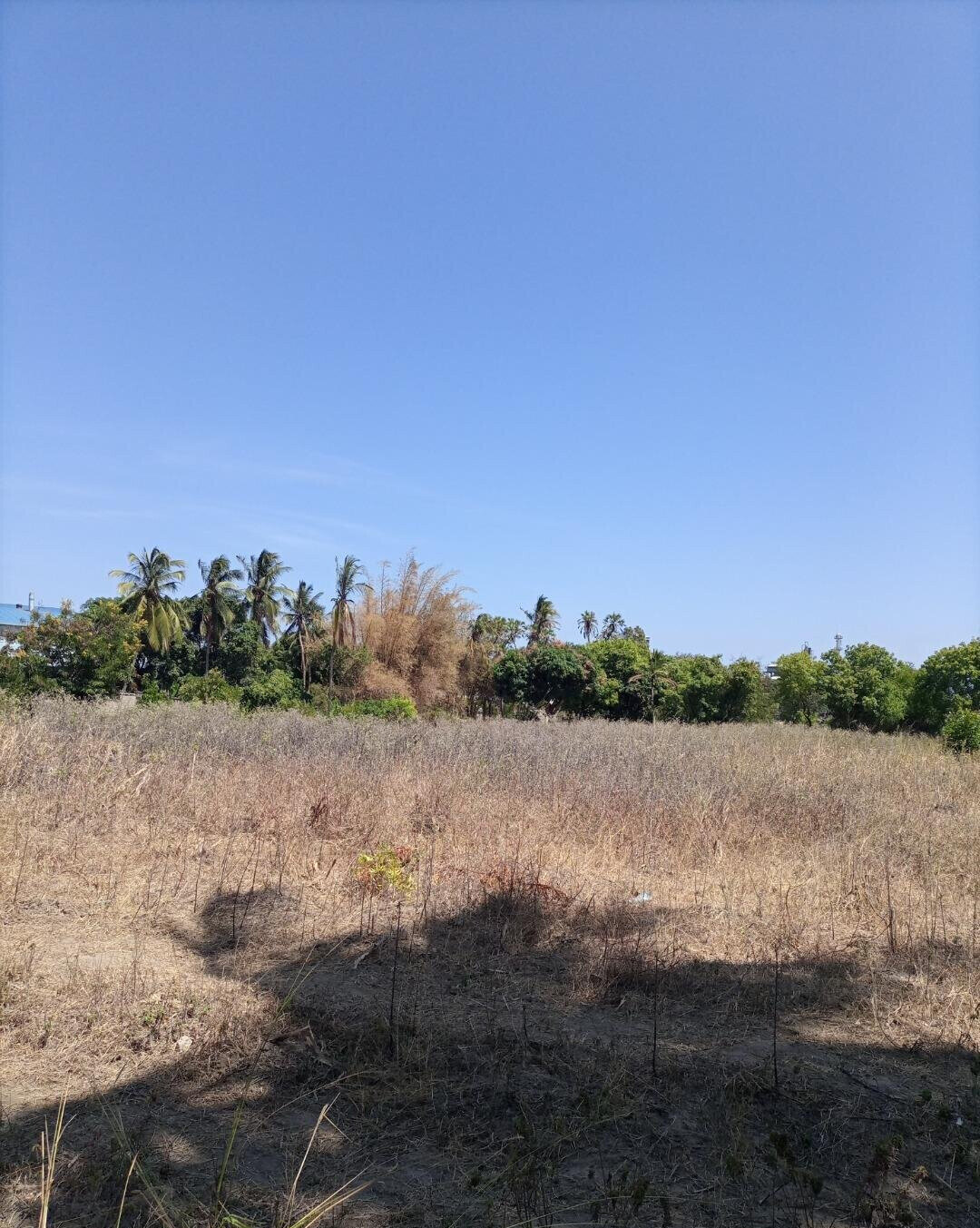 4-Acre Plot for KSh 5M