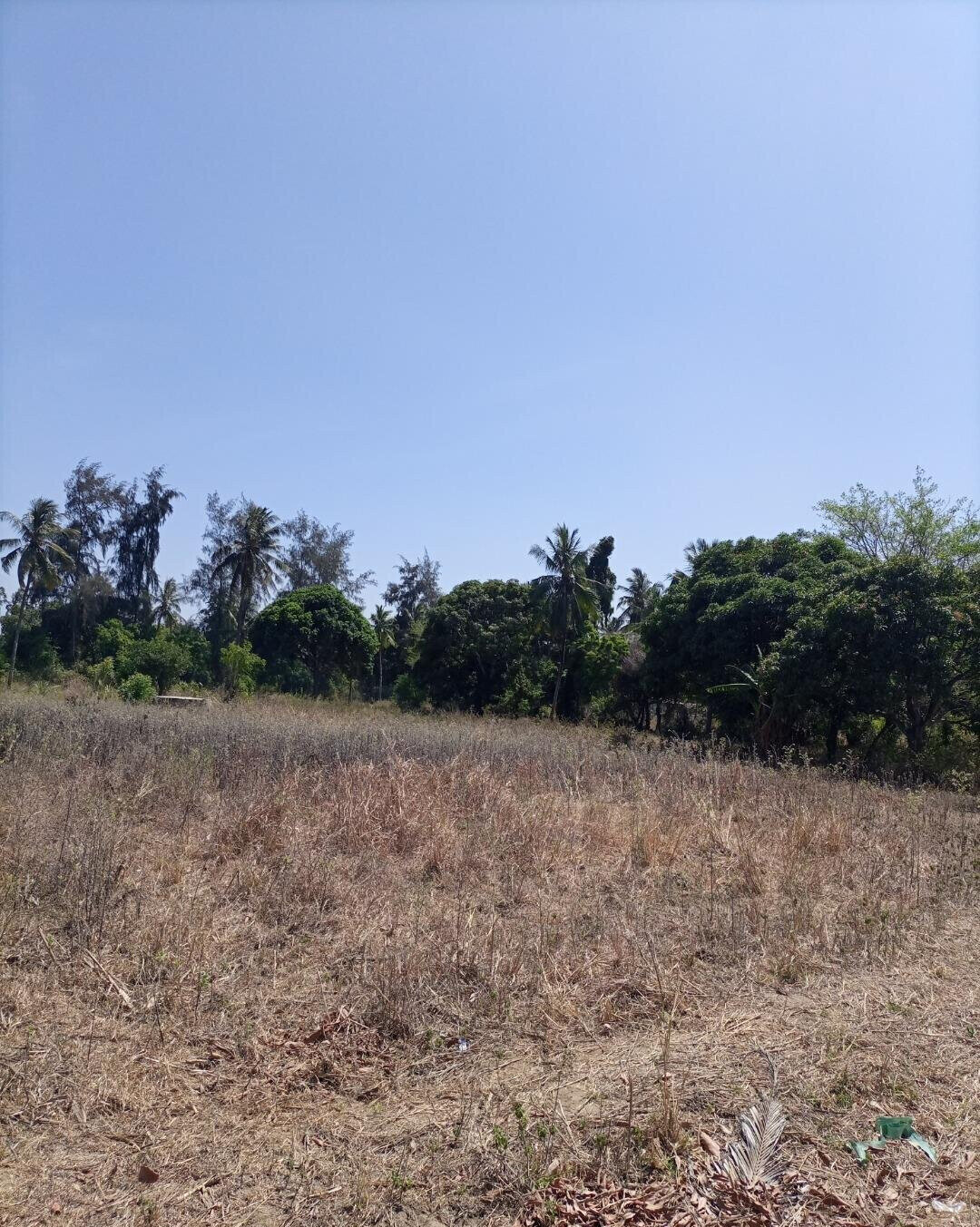 4-Acre Plot for KSh 5M