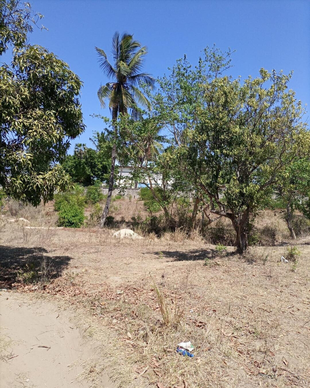 4-Acre Plot for KSh 5M