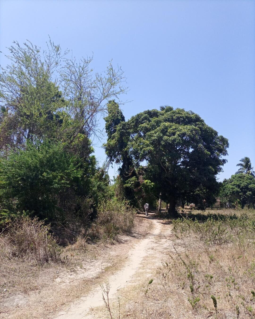 4-Acre Plot for KSh 5M