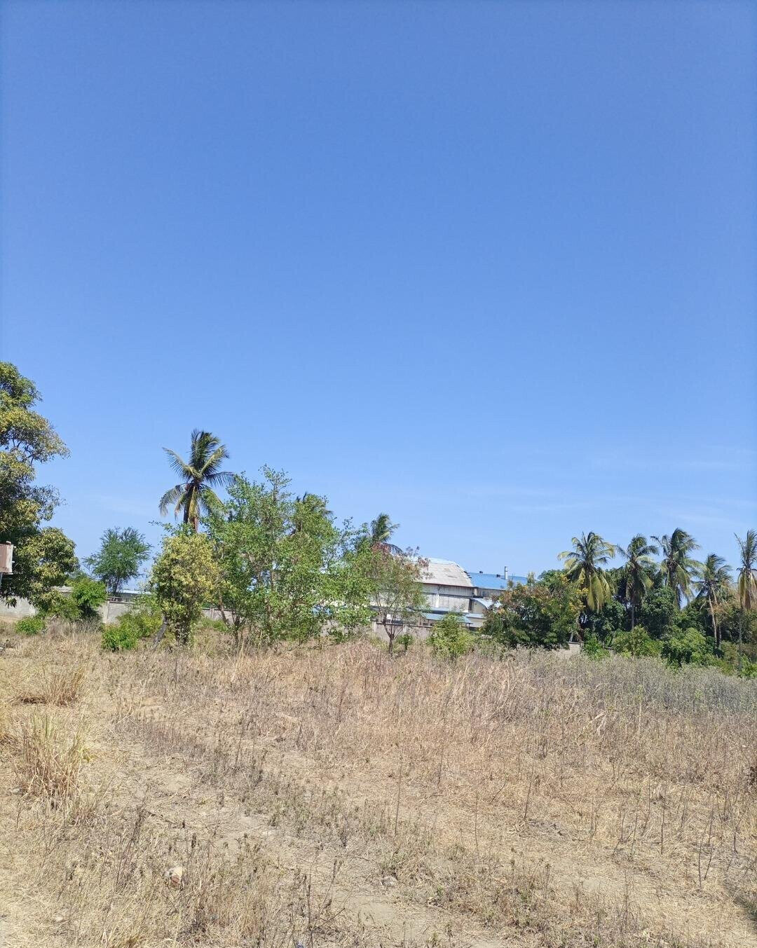 4-Acre Plot for KSh 5M