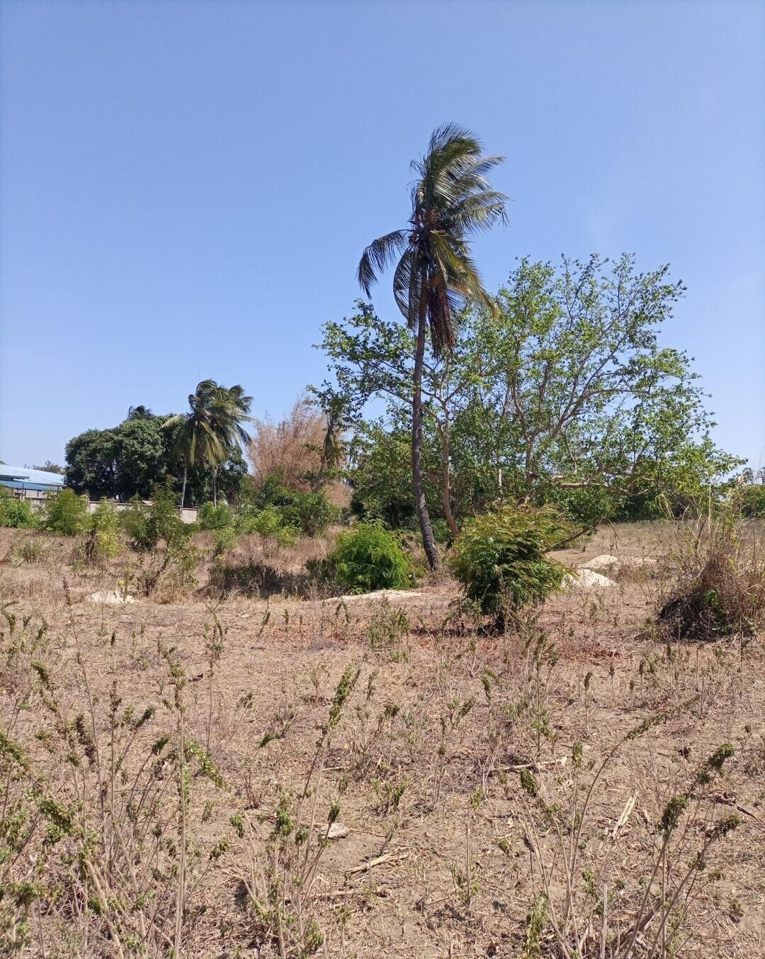 4-Acre Plot for KSh 5M