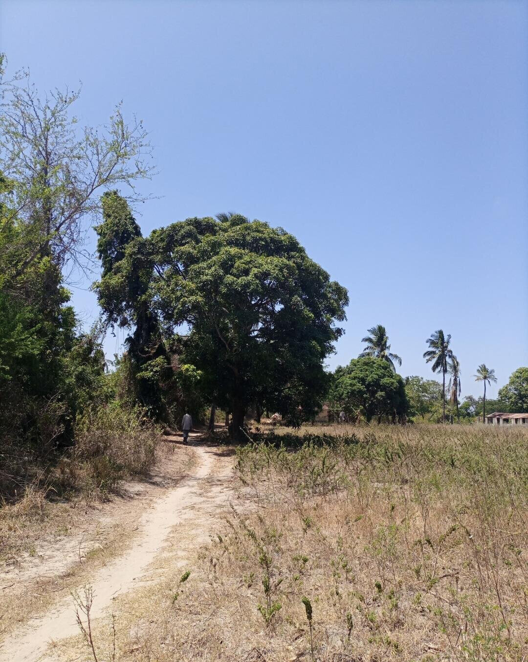 4-Acre Plot for KSh 5M