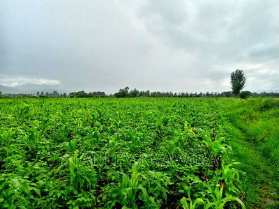 20 Acres Nanyuki Mukima Near Mayan Resort - Image 1