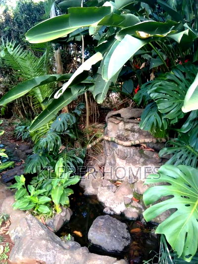 5bdrm Mansion in Runda for sale - Image 5