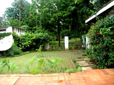 7792/1_imn/419 - Image 2