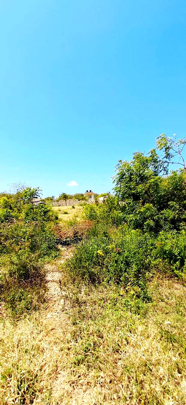 For Sale Eigth Acres Plots Shanzu