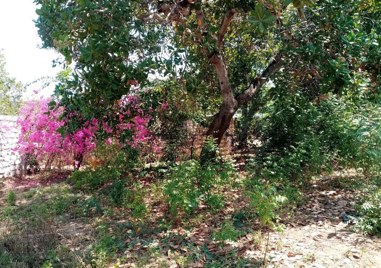 1/8 Acre Plot in Kibokoni, Malindi
