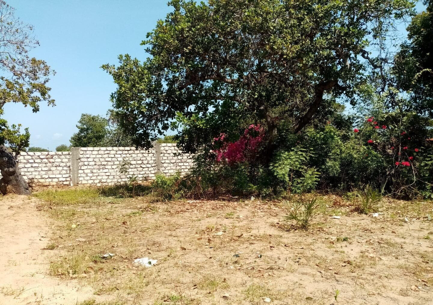 1/8 Acre Plot in Kibokoni, Malindi