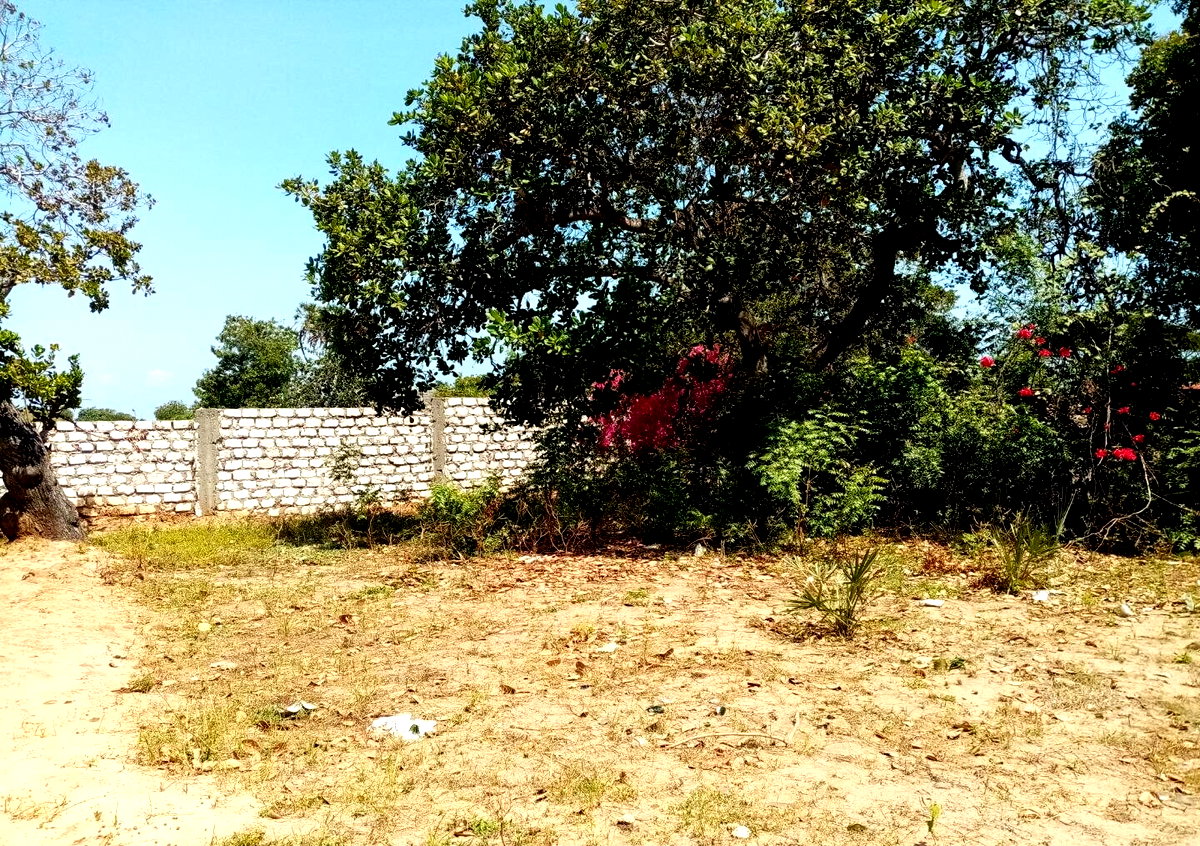 1/8 Acre Plot in Kibokoni, Malindi