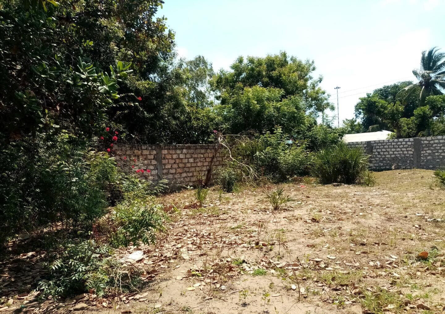 1/8 Acre Plot in Kibokoni, Malindi