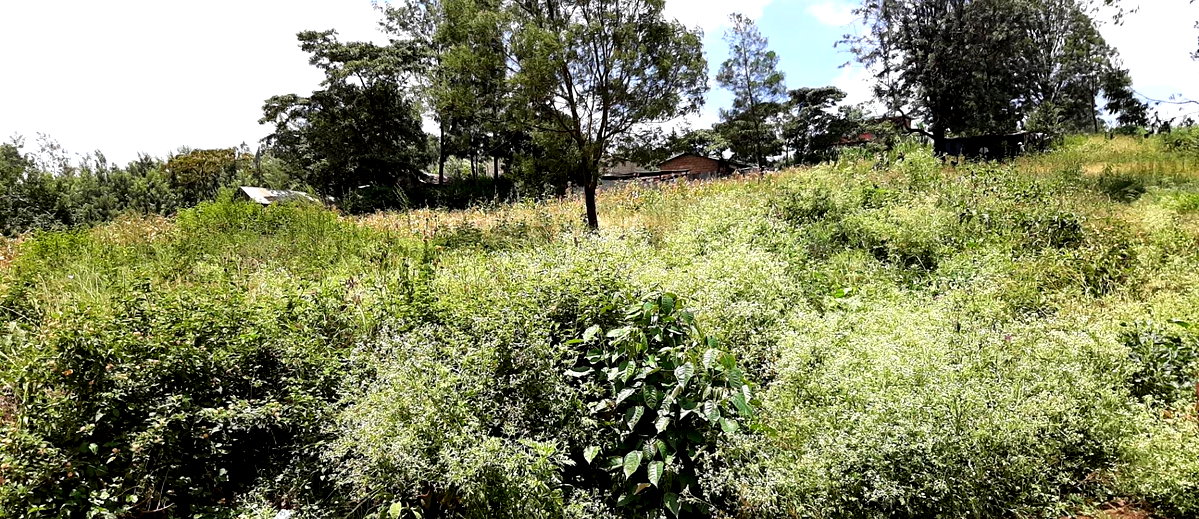 3/4 Acre Riverside Gem with Garden