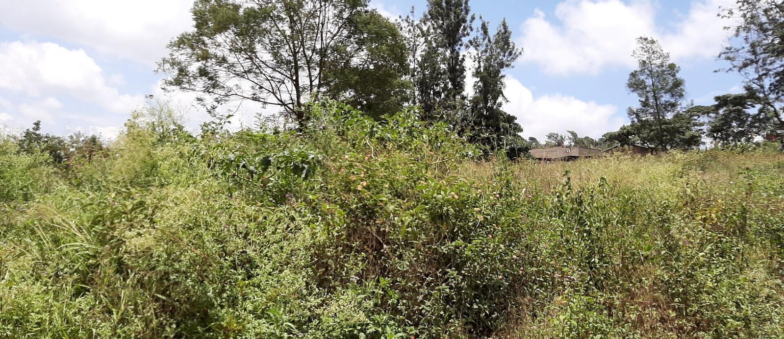 3/4 Acre Riverside Gem with Garden