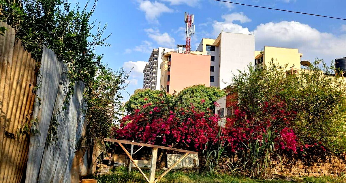 Garden Plot in Ngara for KSh 150M
