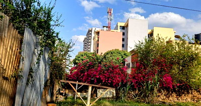Garden Plot in Ngara for KSh 150M